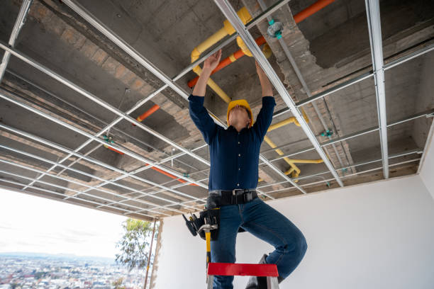 Best Leak Detection Services  in Mounds View, MN