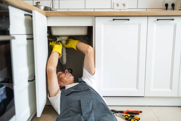 Best Plumbing Inspection Services  in Mounds View, MN