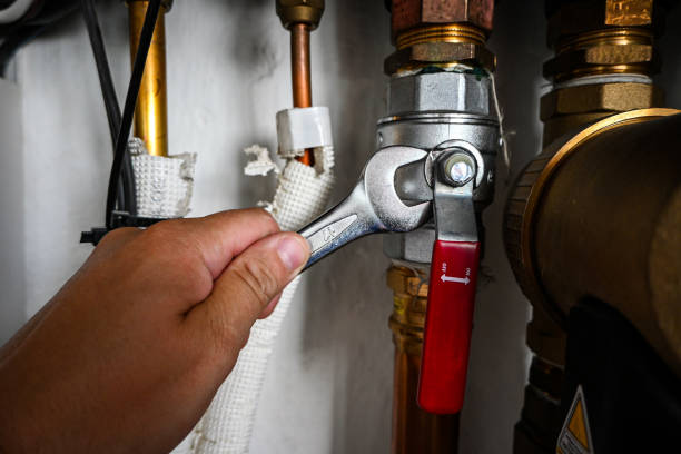 Best Shower Repair Services  in Mounds View, MN
